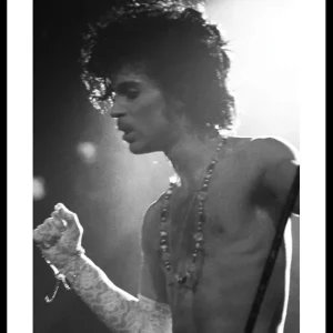 Prince Poster Schnäppchen