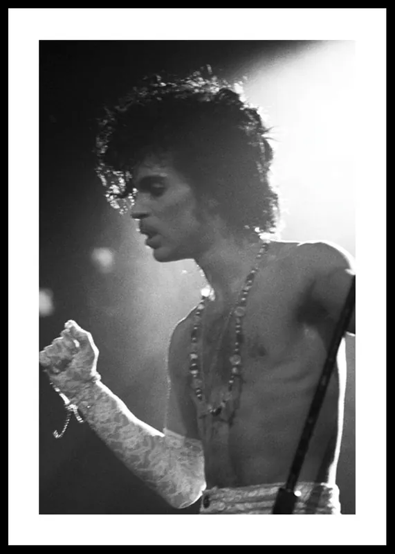 Prince Poster Schnäppchen