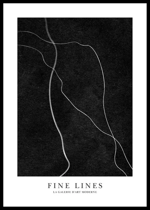 Sichere Zahlung Fine Lines No2 Poster