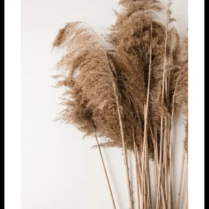 Dried Bouquet No3 Poster Must-Have