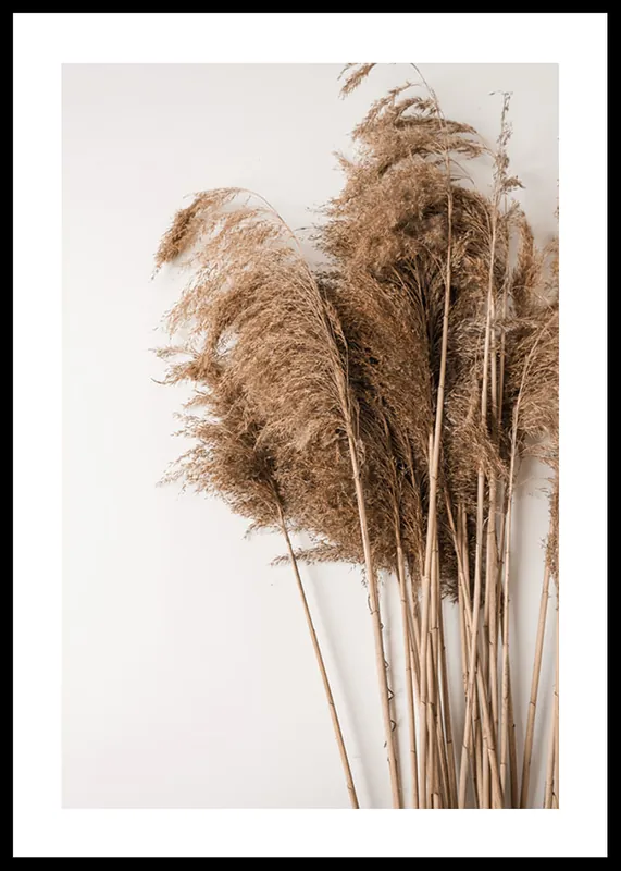 Dried Bouquet No3 Poster Must-Have