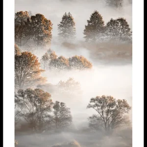 Begrenztes Angebot Autumn Forest Poster