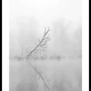Solange Der Vorrat Reicht Leaning Tree Poster