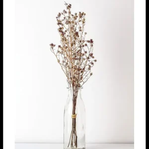 Beliebt Dried Bouquet No4 Poster