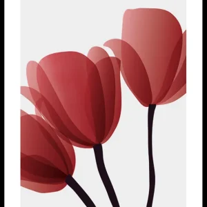 Neu Im Sortiment Red Tulips No2 Poster
