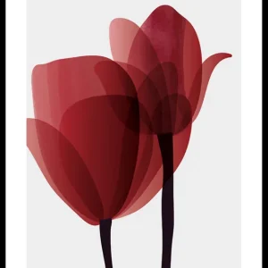 Geprüft Red Tulips No1 Poster