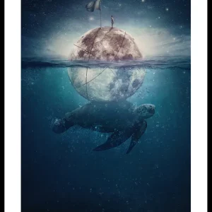 Ausverkauf Turtle Moon Poster