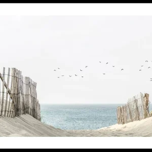 Birds At Cape Cod Poster Beliebt