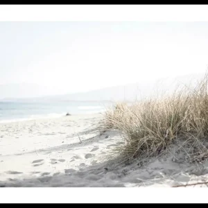 Marram Grass At Beach Poster Sonderaktion