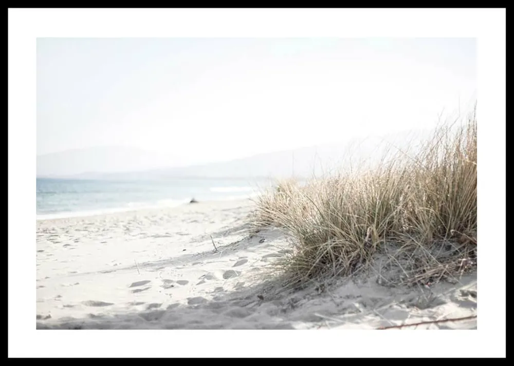 Marram Grass At Beach Poster Sonderaktion