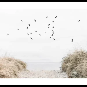 Angebot Free As A Bird Poster