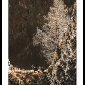 Must-Have Autumn In The Forest Poster