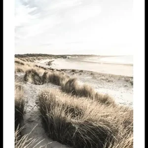 Sand Dunes At Sunset Poster Preisknaller