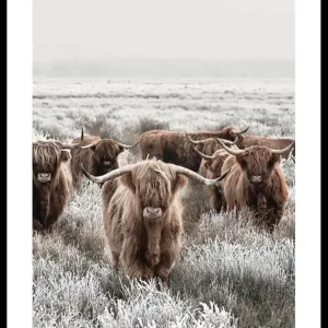 Scottish Highlanders Poster Sonderaktion