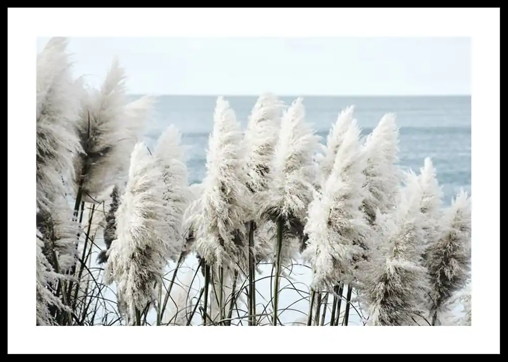 Toitoi Grass Poster Kostenfreie Lieferung