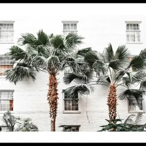 City Palms Poster Zertifiziert