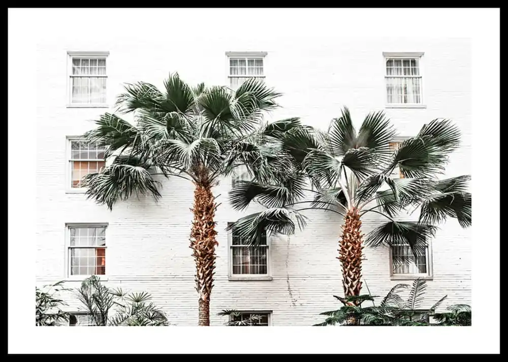 City Palms Poster Zertifiziert