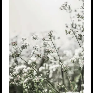 Geprüft White Flowers In Spring Poster