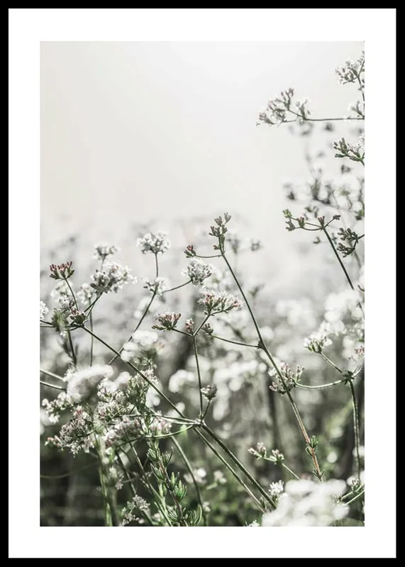 Geprüft White Flowers In Spring Poster