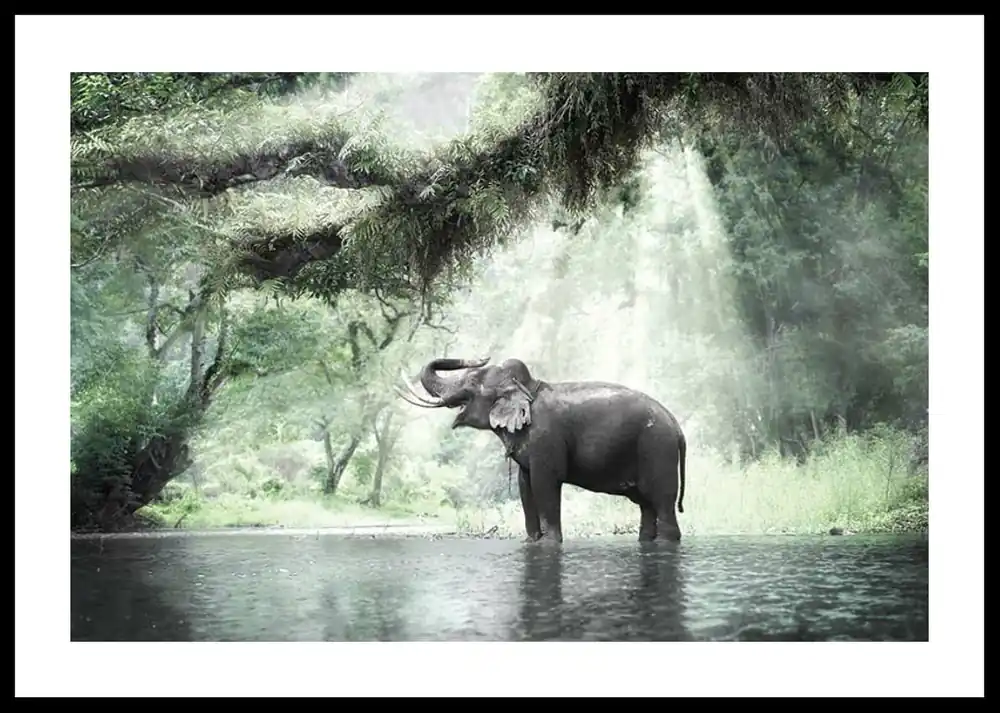 Elephant In Sunlight Poster Rabatt