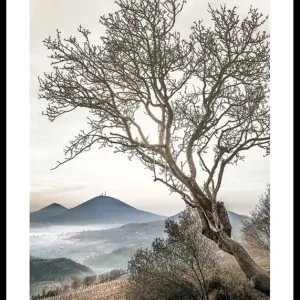 Neue Ware Lonely Tree Against Sky Poster
