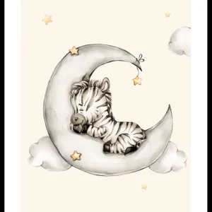 Sofort Bestellen Sleeping Zebra Poster