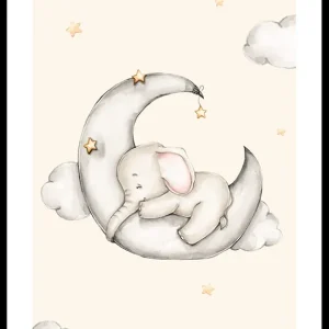 Expressversand Sleeping Elephant Poster