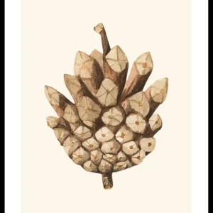 Painted Cone Poster Ausverkauf