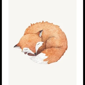 Bestpreis Sleeping Fox Poster