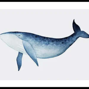 Schnäppchen Watercolor Whale Poster
