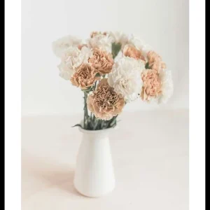 Flowers In Vase Poster Solange Der Vorrat Reicht