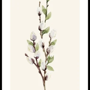 Nur Heute Willow Branches Poster