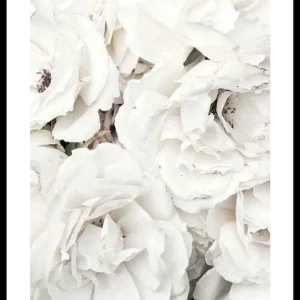 Abverkauf Bouquet Of White Peonies Poster