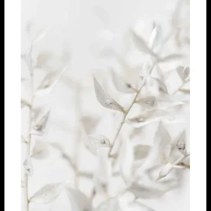 Kostenloser Rückversand White Dried Flower Poster