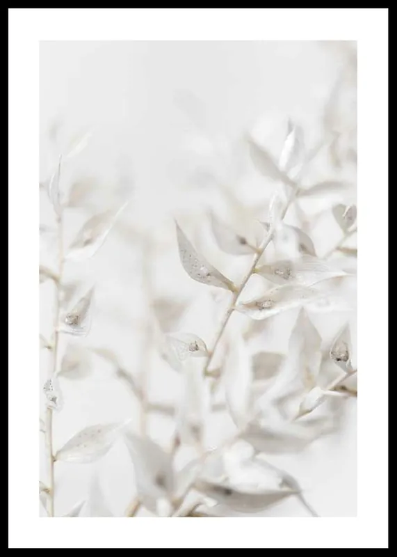 Kostenloser Rückversand White Dried Flower Poster