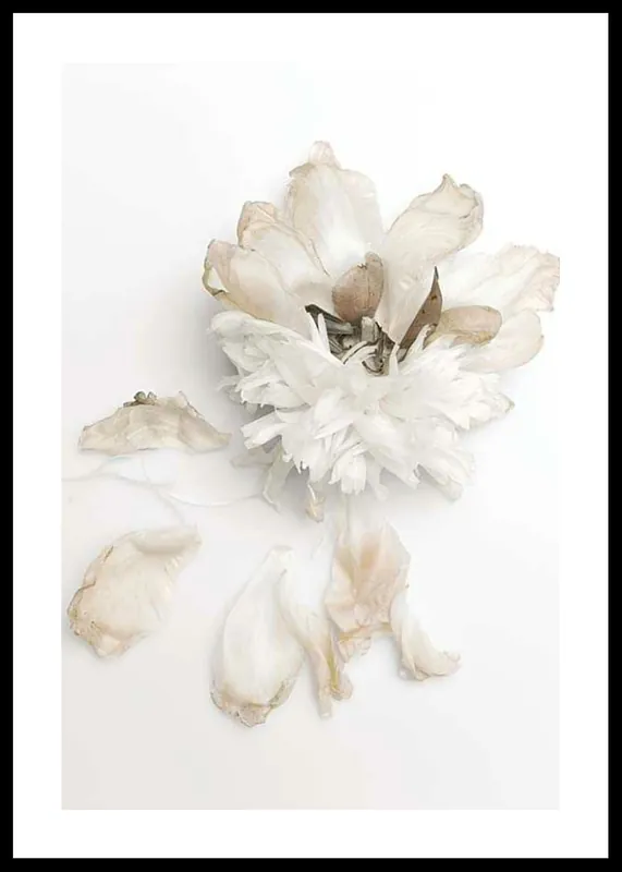 Kostenloser Rückversand Peony Petals No2 Poster