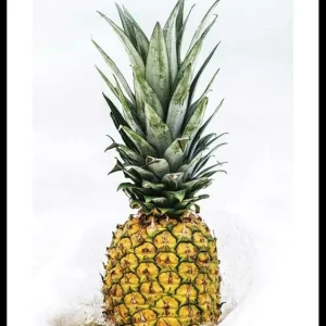Pineapple Poster Beliebt