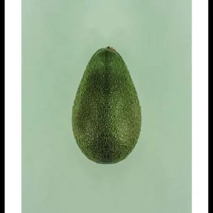 Knallerangebot Avocado Poster