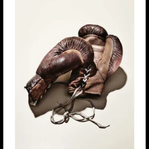 Echt Boxing Gloves Poster