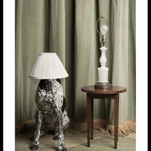 Hiding In Plain Sight Poster Heißes Angebot