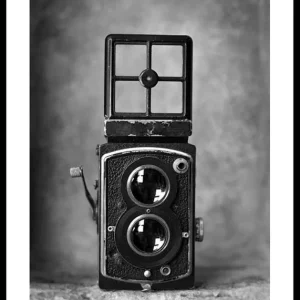 Twin Lens Camera Poster Preisknaller