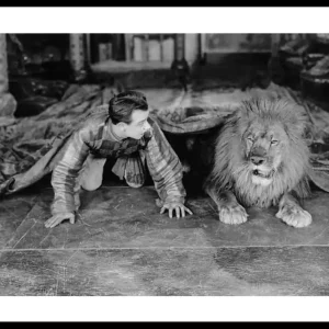 Solange Der Vorrat Reicht Man And Lion Poster
