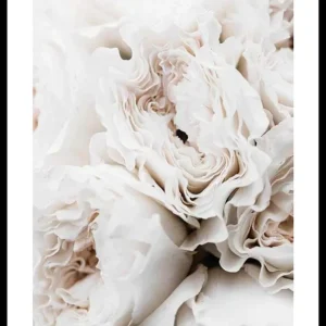 Blossoming Roses Poster Preis Gesenkt