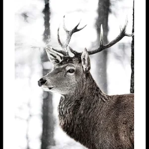 Stag In Forest Poster Top-Preis
