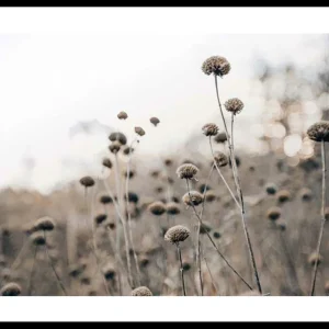 Solange Der Vorrat Reicht Monochromatic Flowers Poster