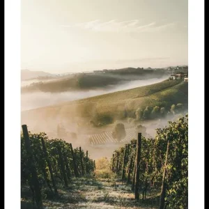 Direktkauf Castiglione Tinella Poster