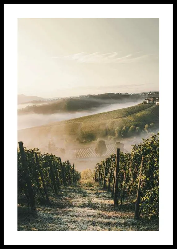 Direktkauf Castiglione Tinella Poster