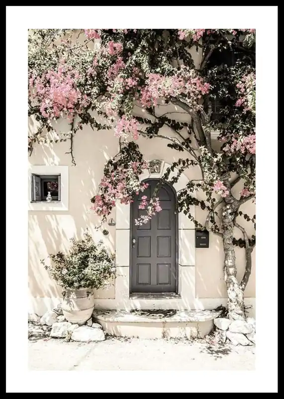 Door In Assos Poster Zertifiziert