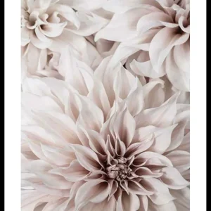 Pink Shaded Flowers Poster Top-Preis