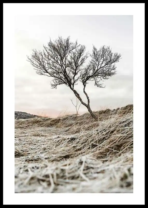 Iceland Tree Poster Top-Preis